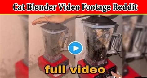 cat in blender video reddit|The Controversial Video: The Shocking Truth Behind。